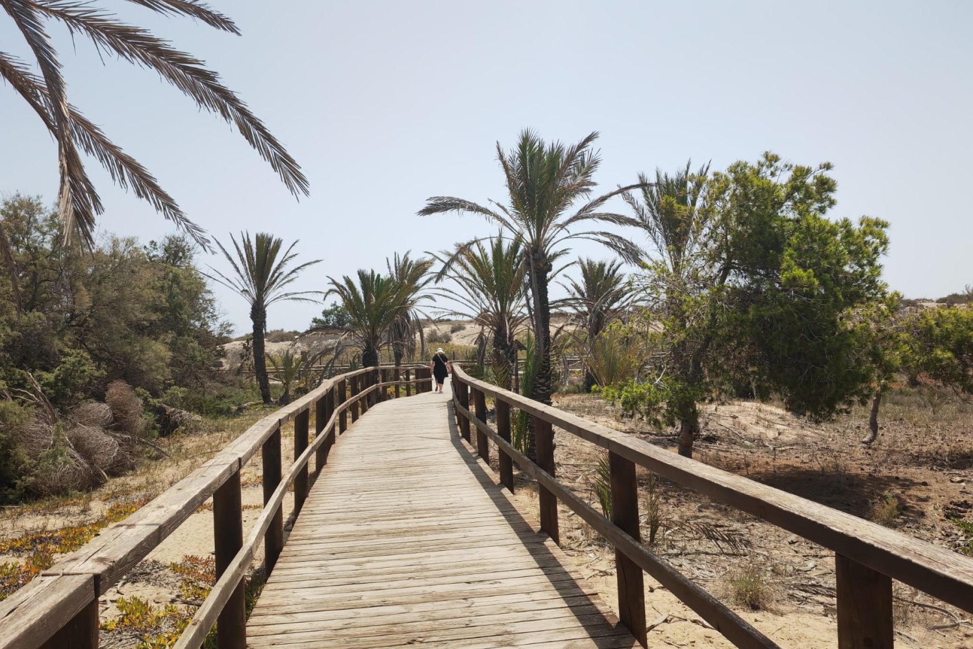 Beach walk