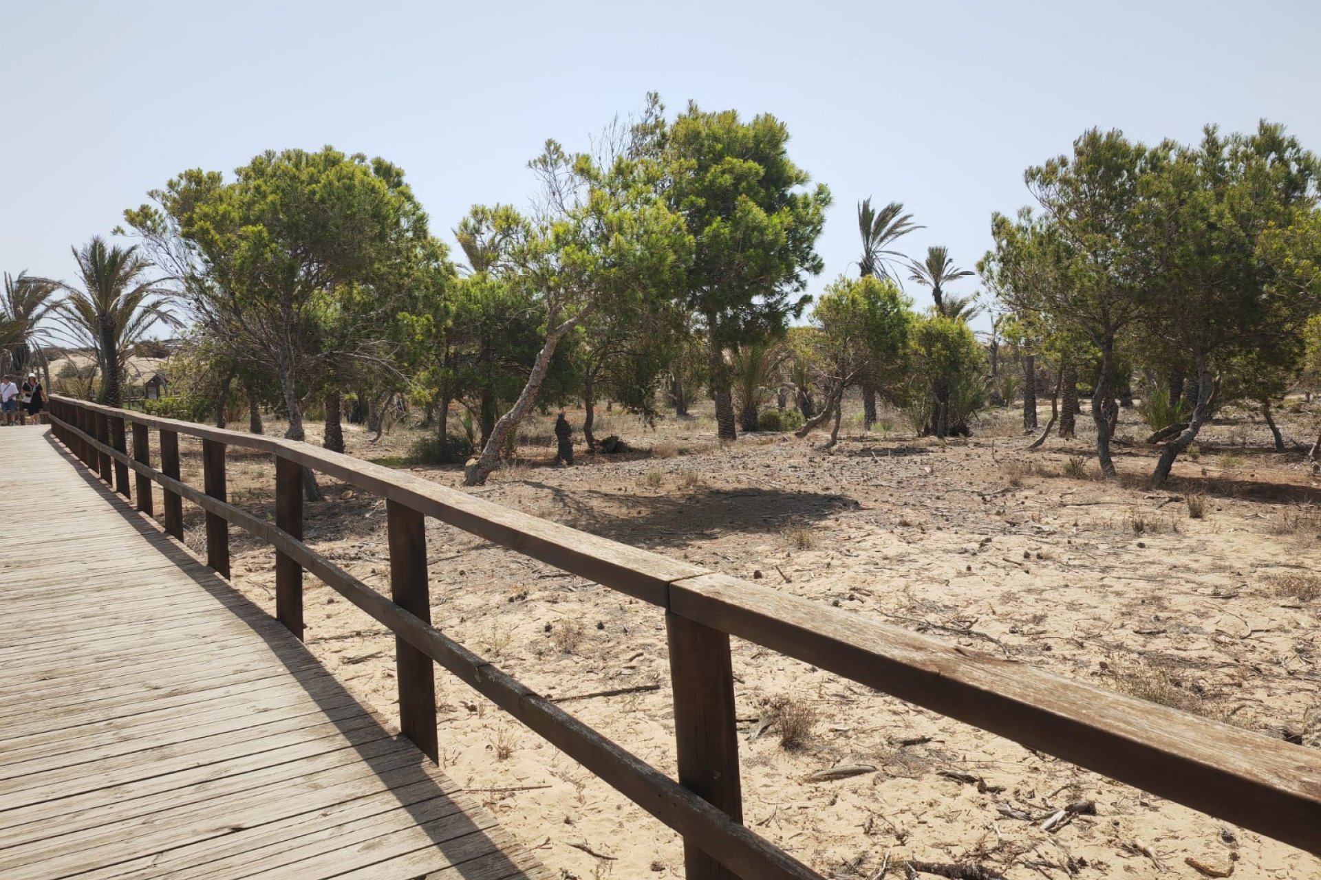 Chemin plage