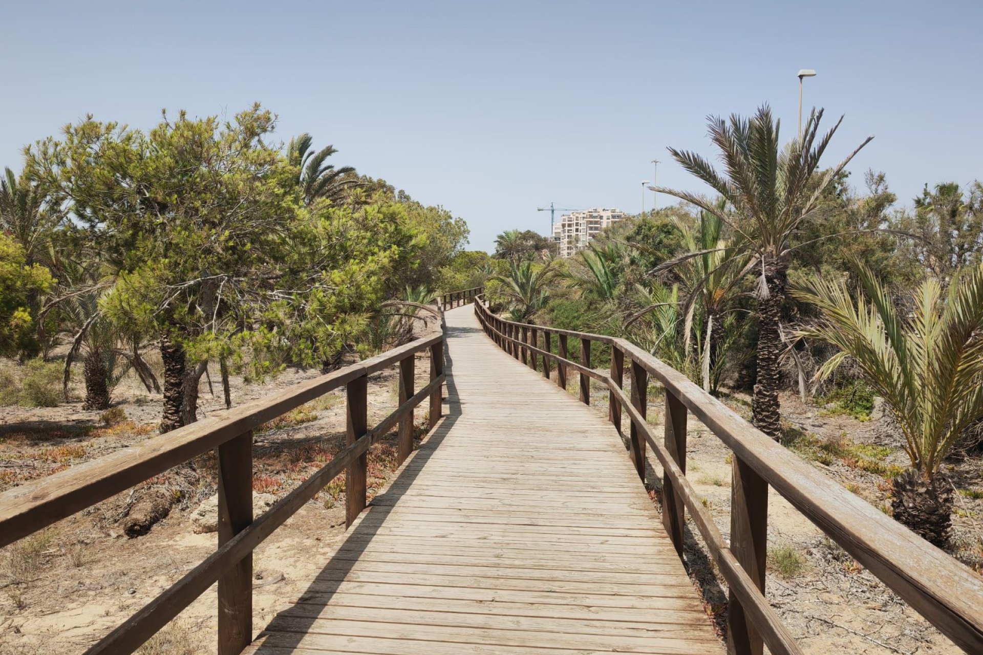 Chemin plage