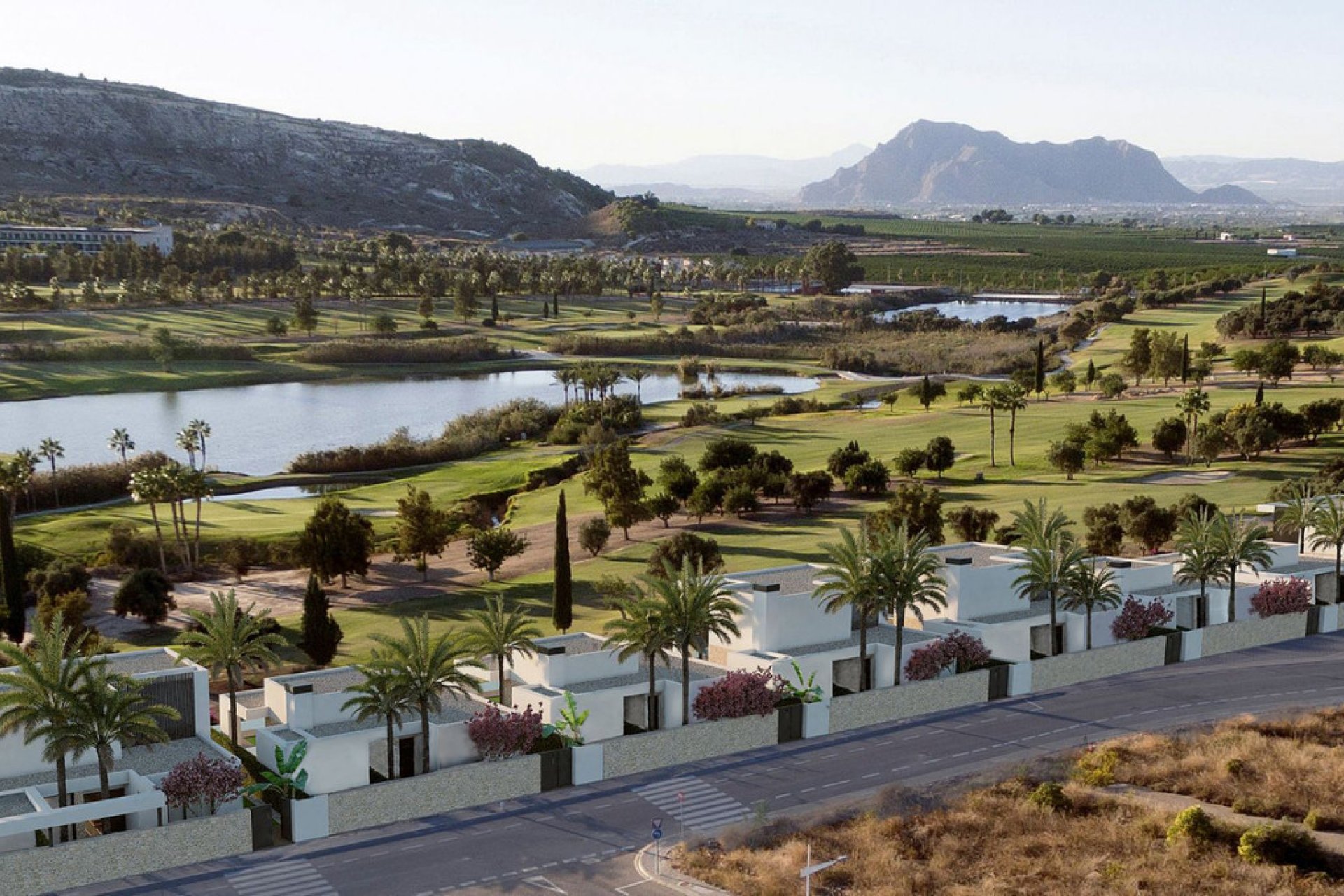 Obra nueva - Casa - Algorfa