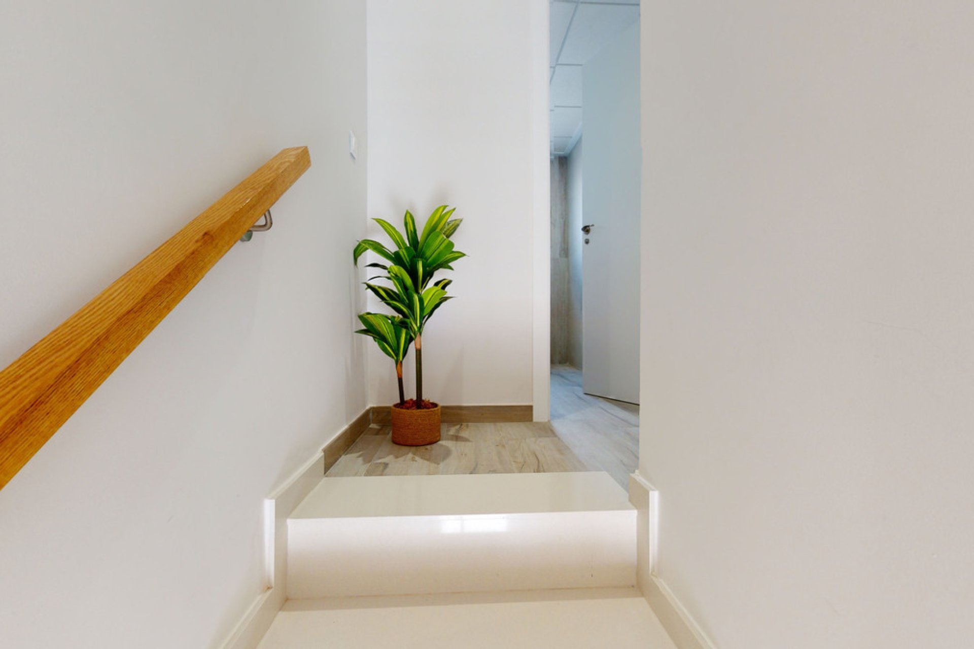 Obra nueva - Casa - Pilar de la Horadada