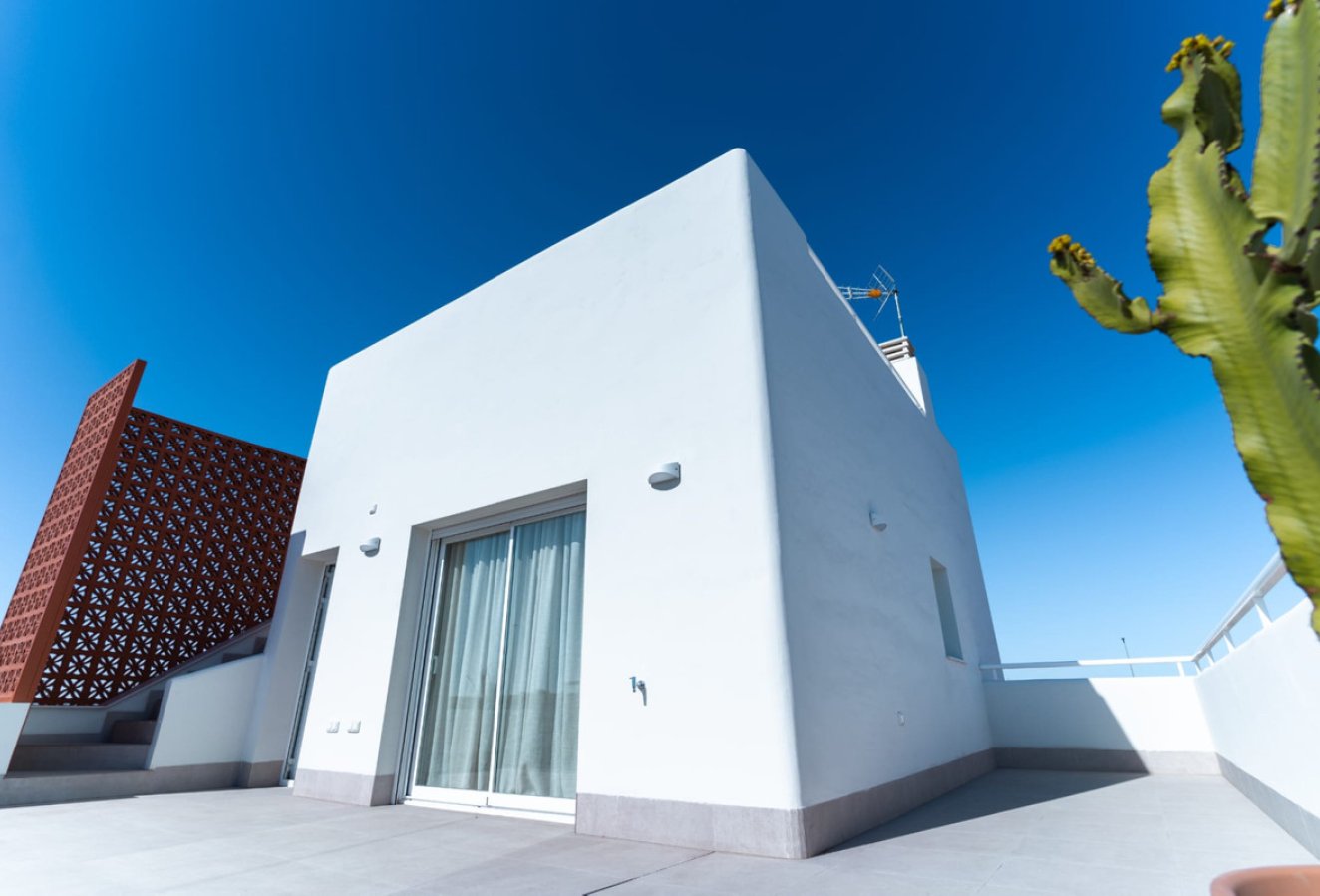Obra nueva - Casa - Pilar de la Horadada