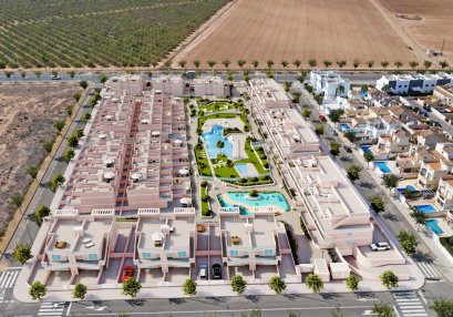 Nouvelle construction - Appartement - Pilar de la Horadada