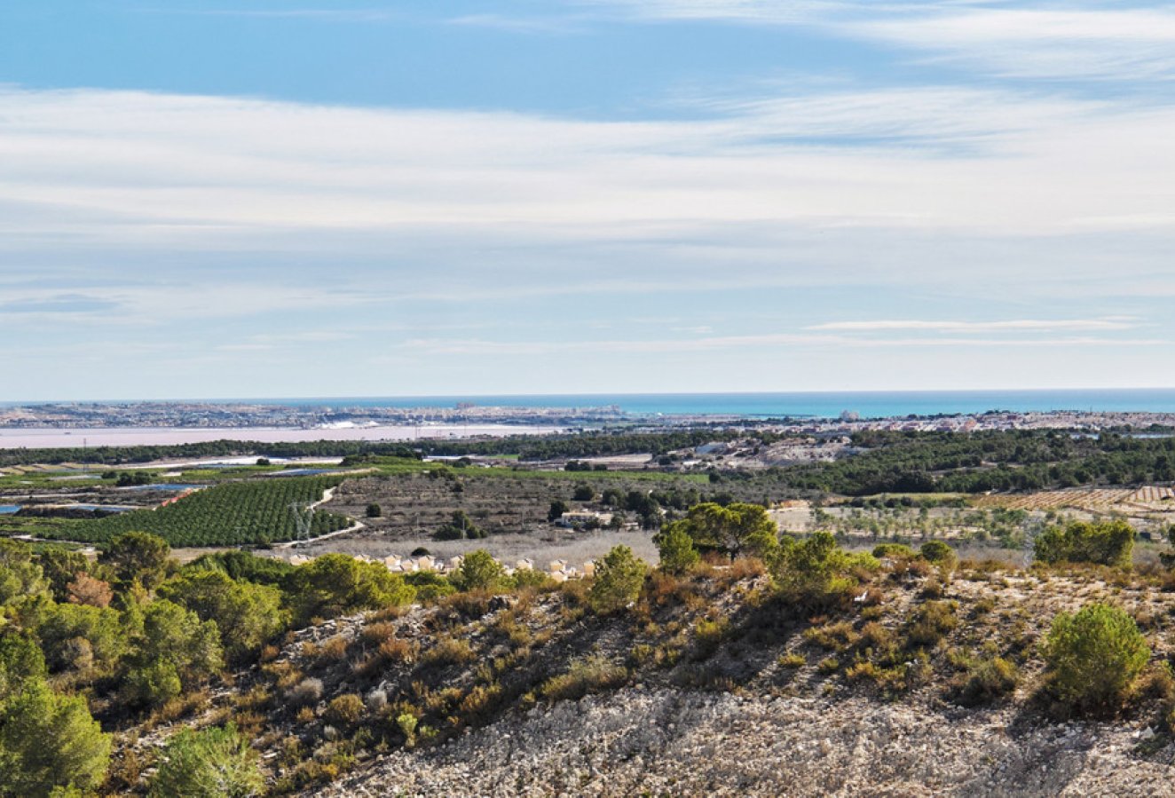 Resale - House - San Miguel de Salinas