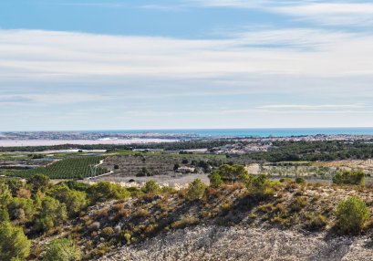 Resale - House - San Miguel de Salinas