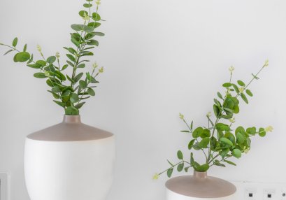 Reventa - Casa - Rafal