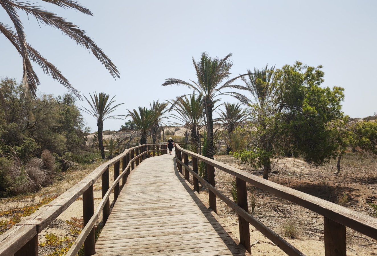 Beach walk