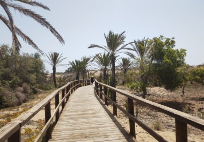 Beach walk