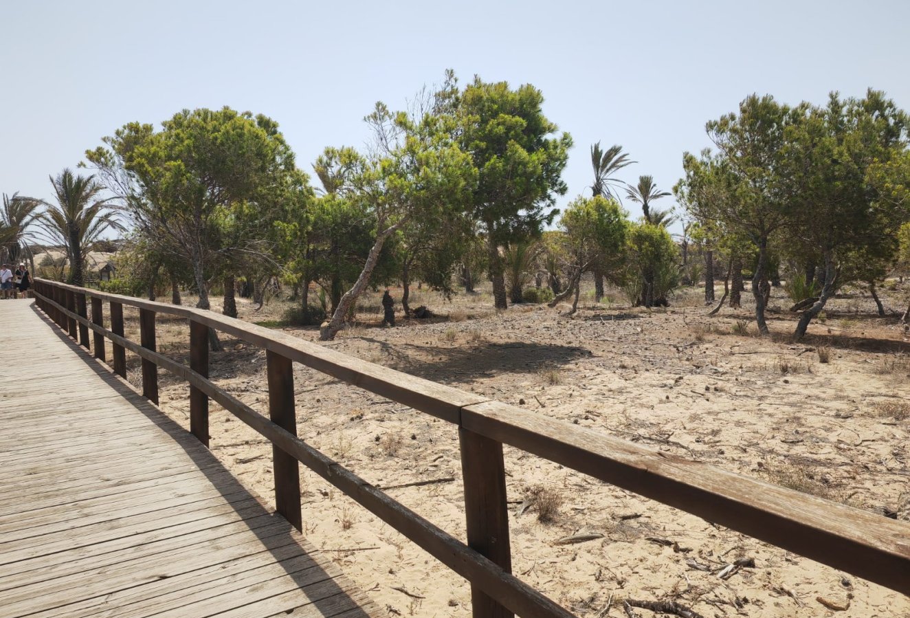 Beach walk