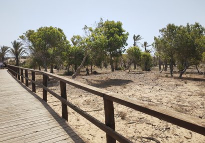 Chemin plage