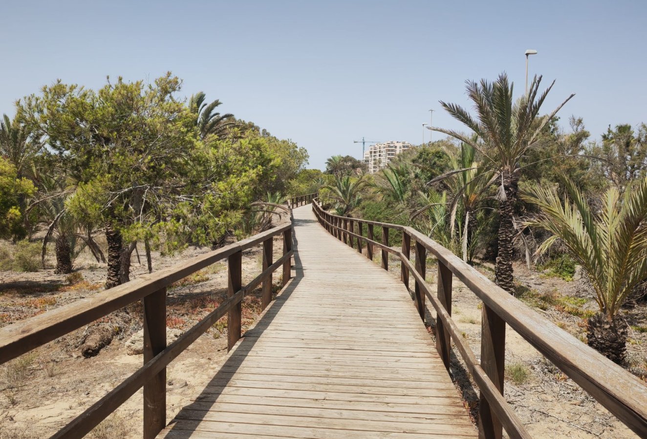 Beach walk