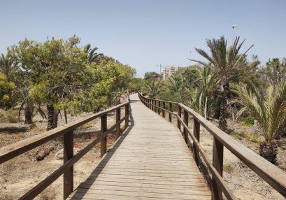 Beach walk