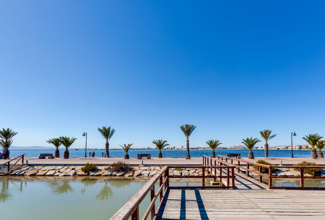 New Build - House - Pilar de la Horadada